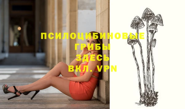 прущий лед Алзамай