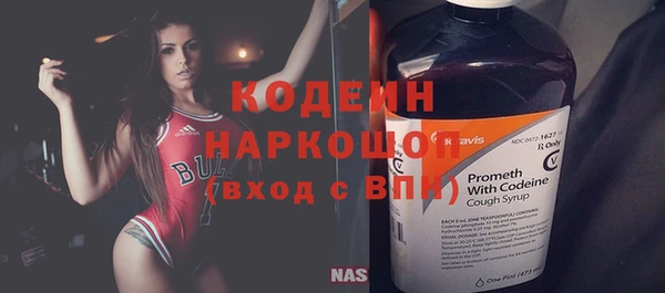 прущий лед Алзамай