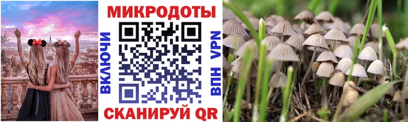 закладка Калтан Галлюциногенные грибы Magic Shrooms